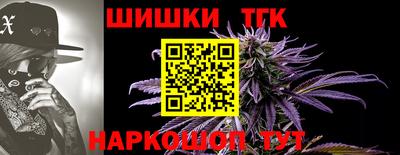 a pvp Гусев