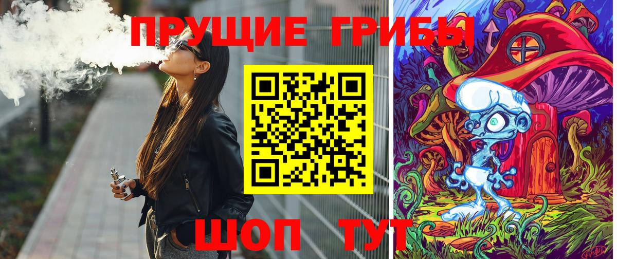 Псилоцибиновые грибы Psilocybe  Вход с VPN  Ижевск 